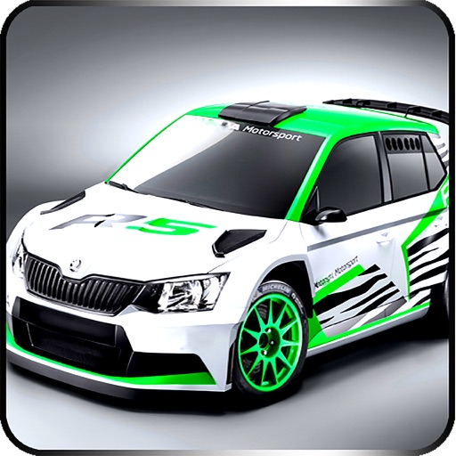 Rally Driver Race icon