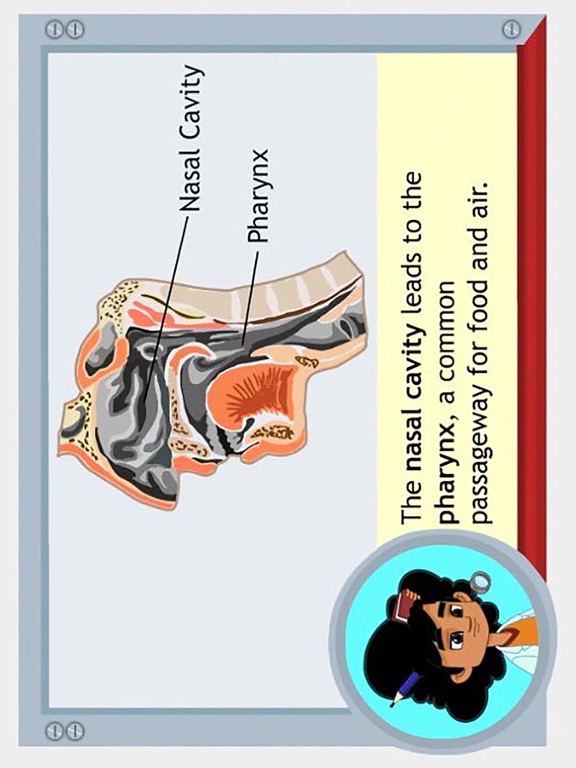 Respiratory System Grade 8 screenshot 2