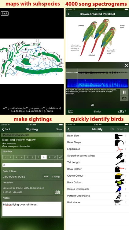 All Birds Colombia field guide screenshot-4