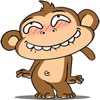 What The Monkey stickers app icon - Stickers app for iPhone