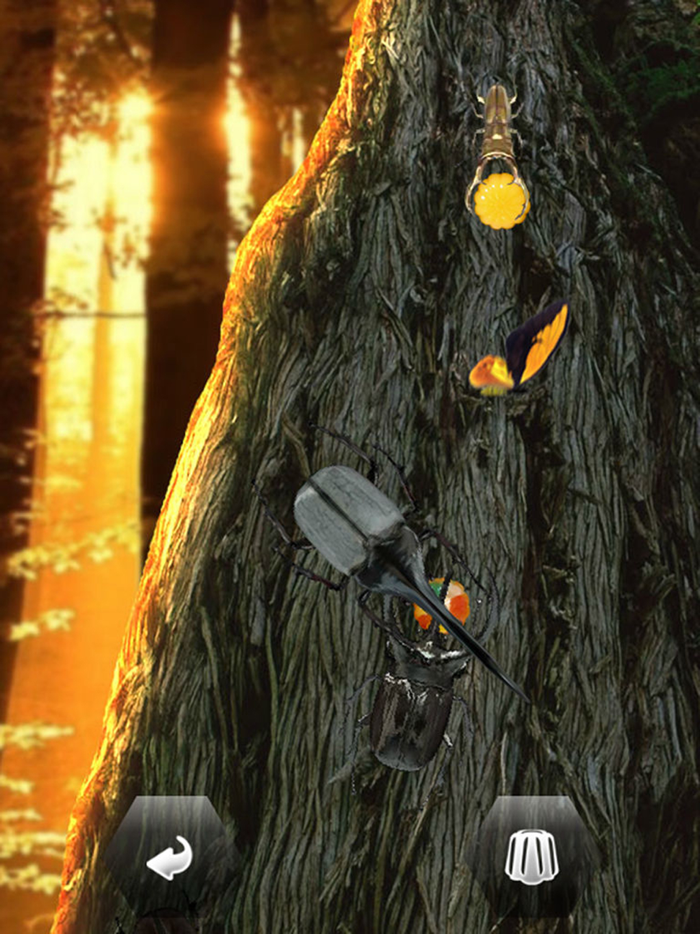 世界の昆虫採集ライト