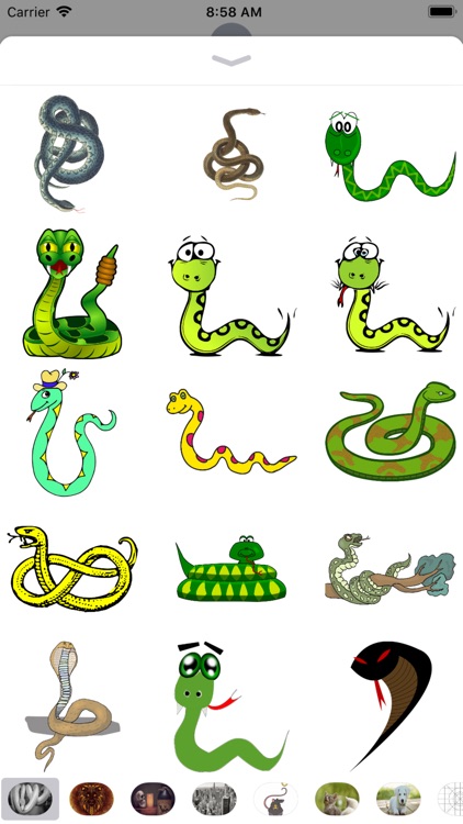 Snake Stickers - Sid Y