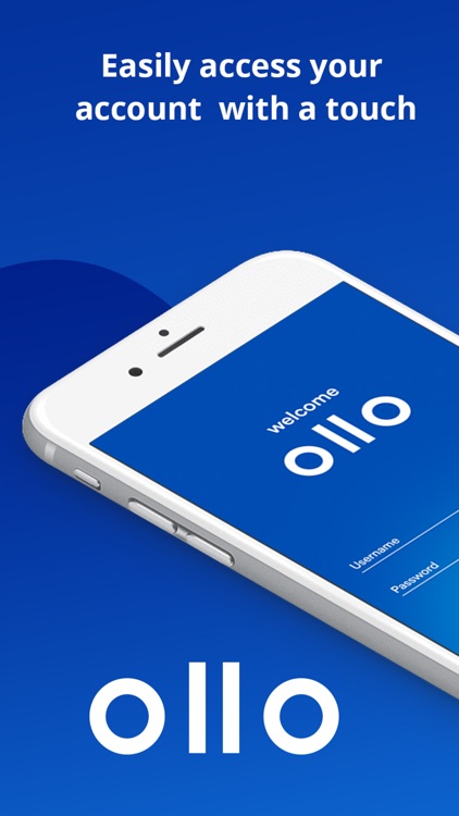 Ollo Credit Card