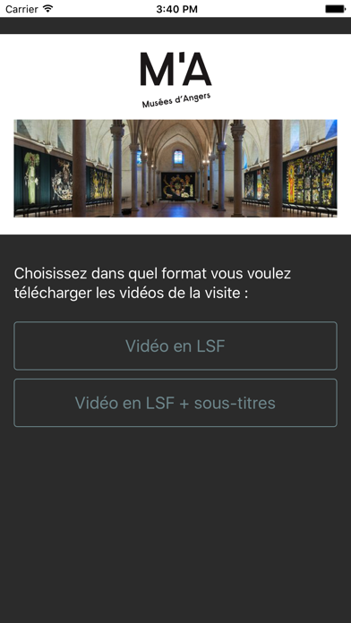 Musée Jean Lurçat en LSF screenshot 3