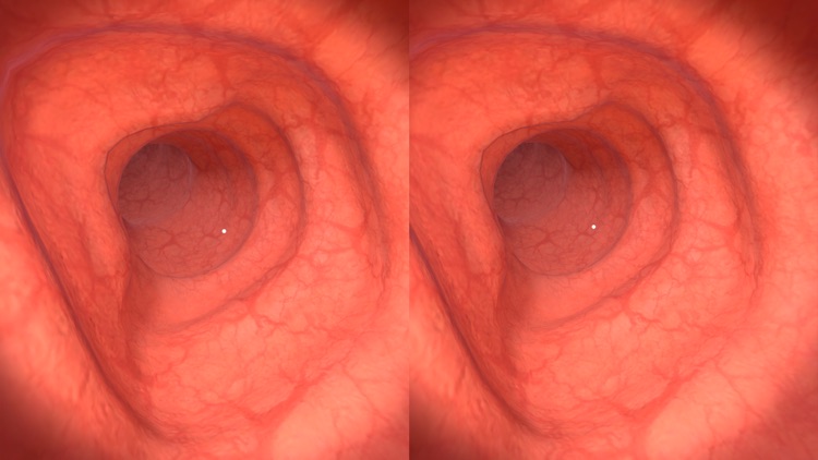 ALIANZA COLON screenshot-6