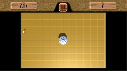 Screenshot 3 of Gyro Gasing App