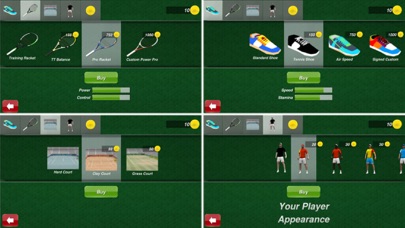 Tennis Champion Screenshot