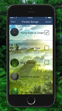 Game screenshot Relaxing Nature - Forest Sounds mod apk