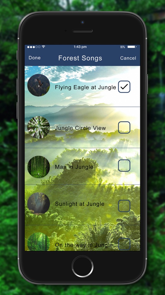 Relaxing Nature - Forest Sounds - 1.0 - (iOS)