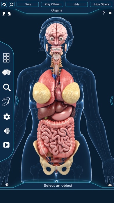 Organs Anatomy screenshot 3