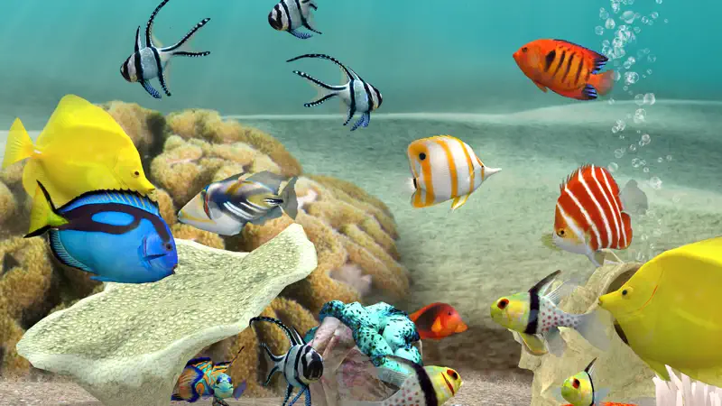 MyReef 3D Aquarium 3 screenshot 4 of 5