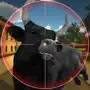 Angry Bull Hunting