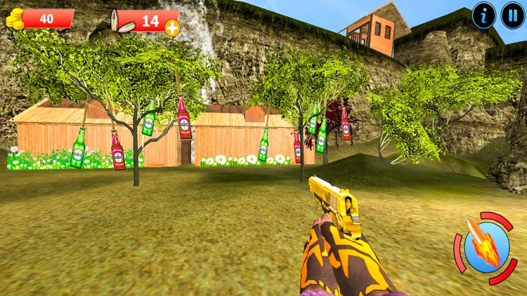 Flip Bottle Shooting