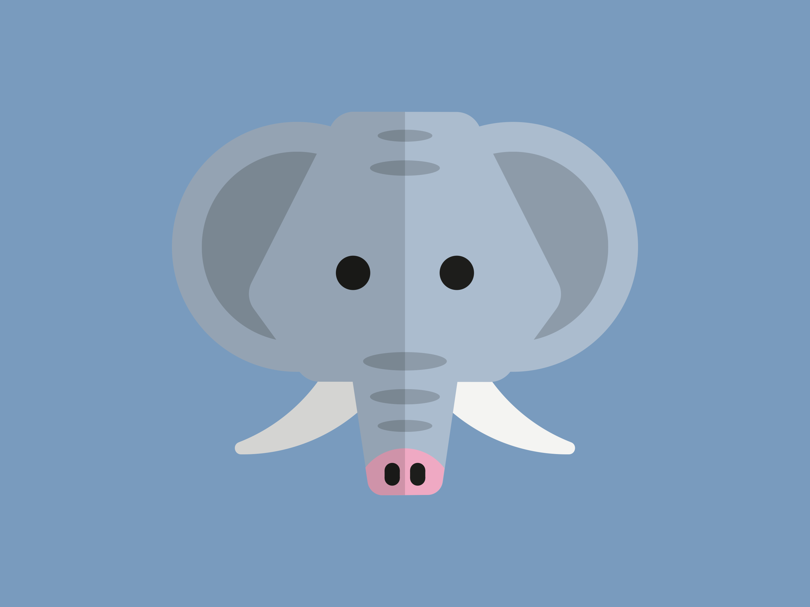 Wild Animals for babies