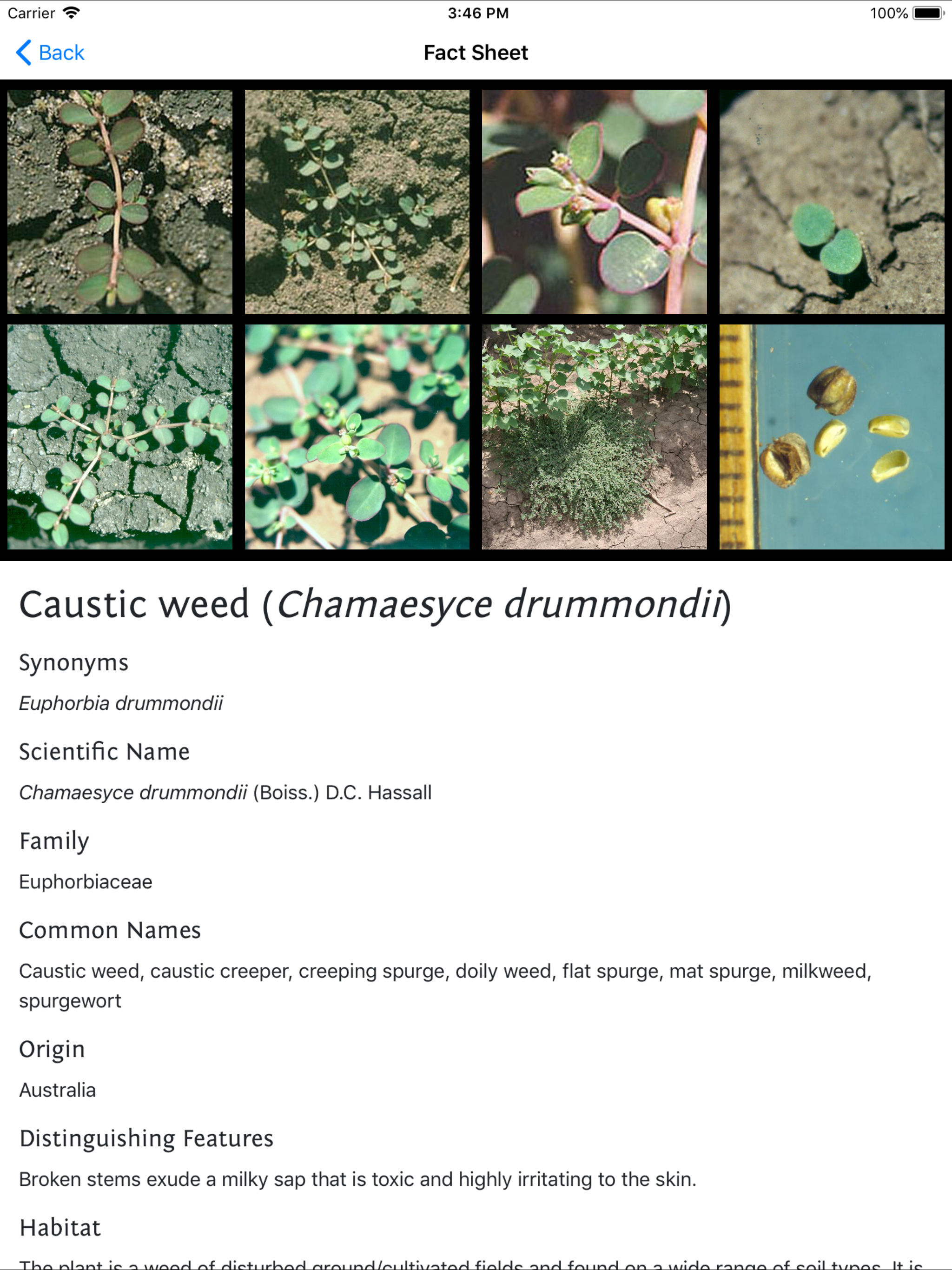 Weeds of Australian Cotton