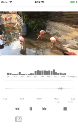 Game screenshot Video Sound Analyzer mod apk
