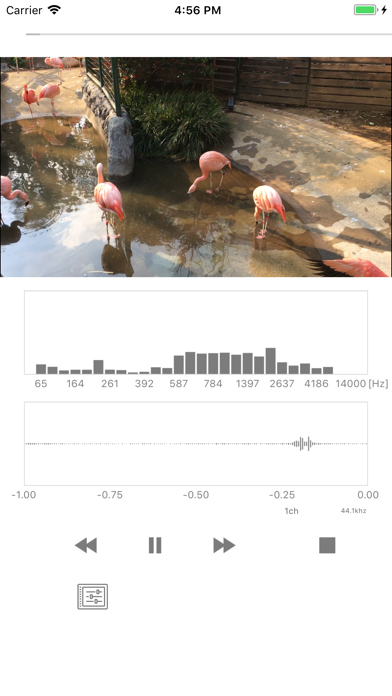 Screenshot #1 pour Video Sound Analyzer