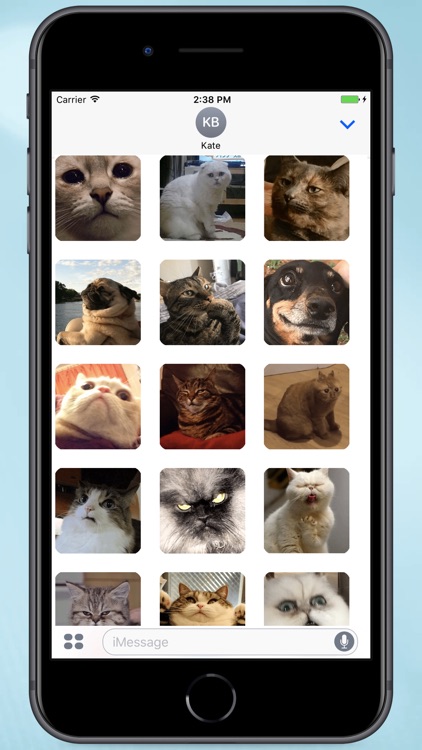 Super Funny Animals Stickers