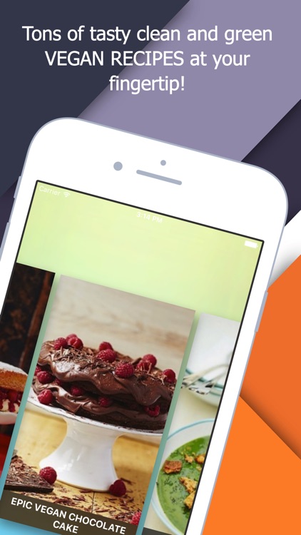 Vegan Diet Recipes screenshot-4