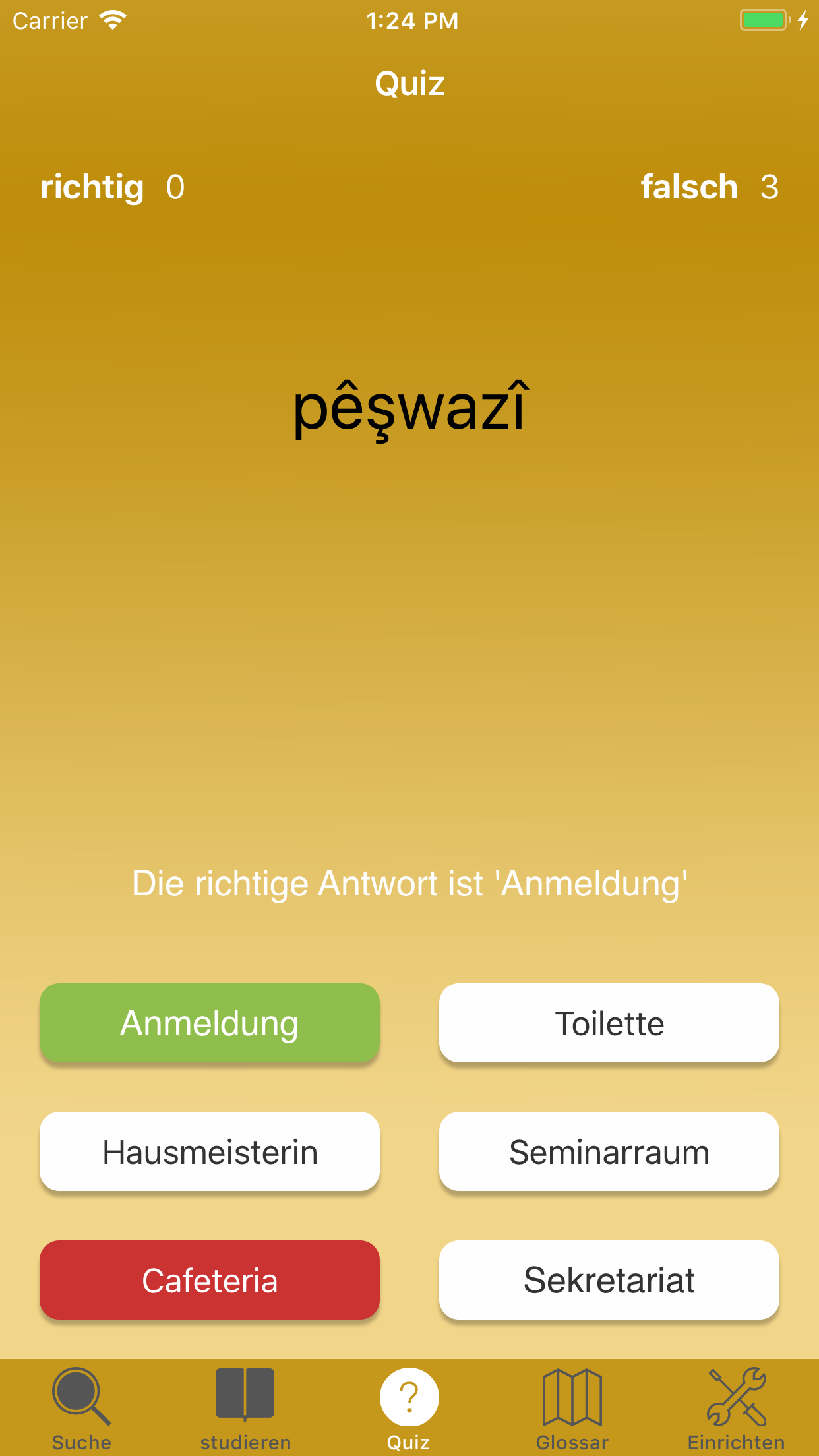 Kurdisch Deutsch Vokabeln! screenshot 4