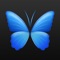 Everpix – HD Wallpapers and Backgrounds has a large assortment of wallpaper options nicely arranged by category