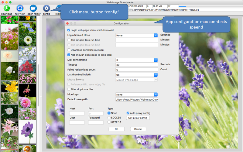 Web Image Downloader thumbnail 4