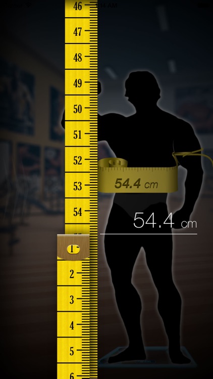 Body Progress - For Man
