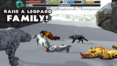 Snow Leopard Simulator Screenshot