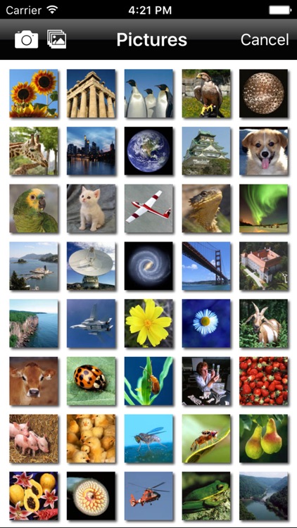 Picture Slider screenshot-4