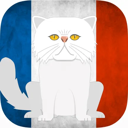 CatsAndVerbs - French verbs! Читы