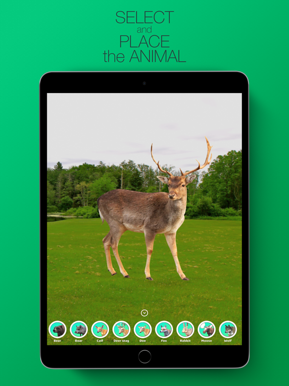 Screenshot #4 pour AR Trophy