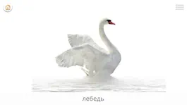 Game screenshot Ребенок ЖЖ - русский hack