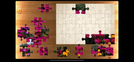 PPPuzzle!