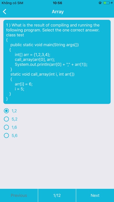 Java Quiz screenshot 2