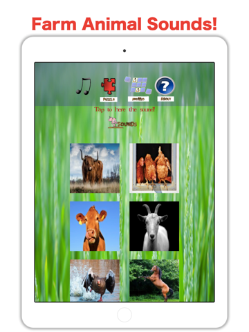 Country Zoo: Farm Animal Games - náhled