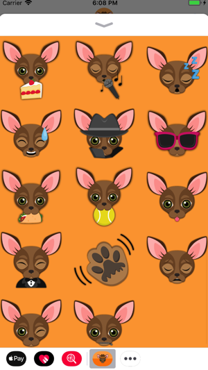 Chocolate Chihuahua(圖3)-速報App