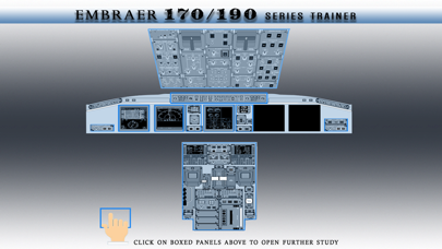 Embraer 170/190 Pilot Trainerのおすすめ画像4