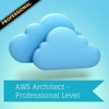 Professional - AWS Sol. Arch.