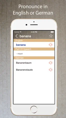 Game screenshot German English Dictionary Lite apk