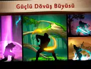 shadow fight 2 special edition ipad resimleri 4