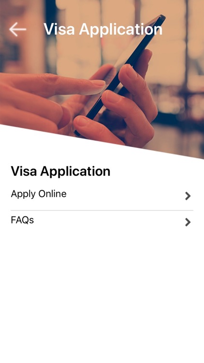 Brazil E-Visa screenshot-4