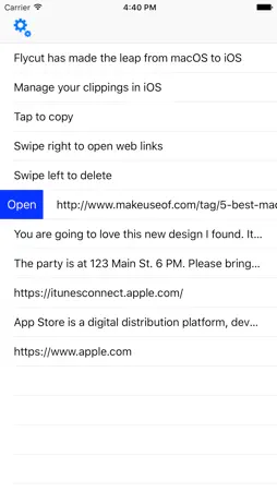 Flycut screenshot 2