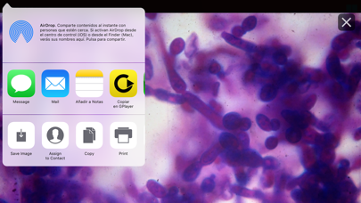 Dicc. Enfermedades infecciosas screenshot