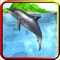 Play and swim with a fun Dolphin