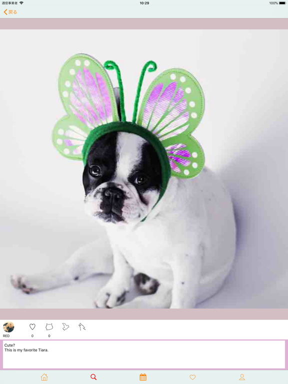 Screenshot #5 pour Diary for Pet