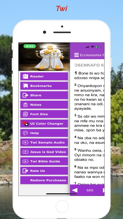 Twi Bible Akuapem screenshot-3