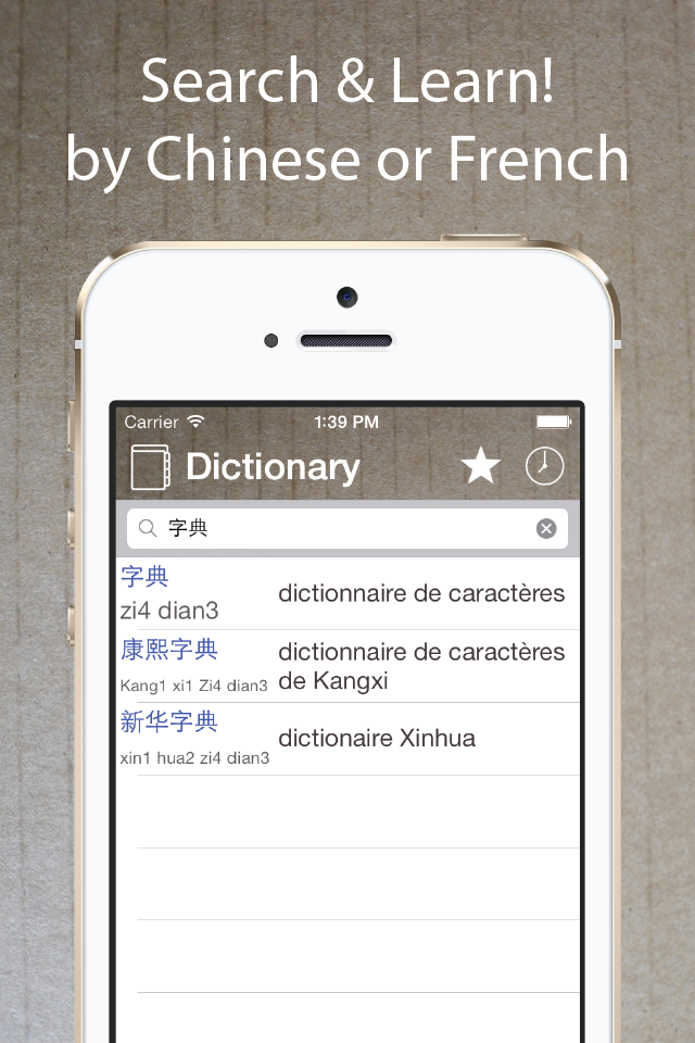 Chinese French Dictionary 法中词典