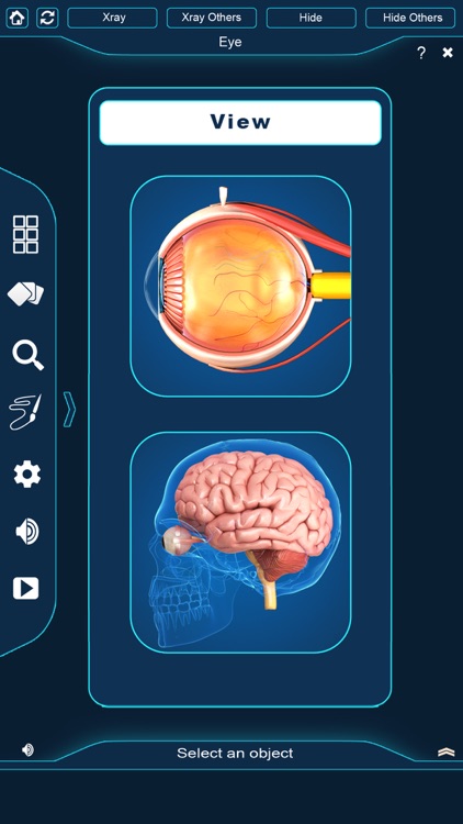 My Eye Anatomy