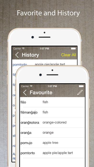 Esperanto English Dictionary Screenshot