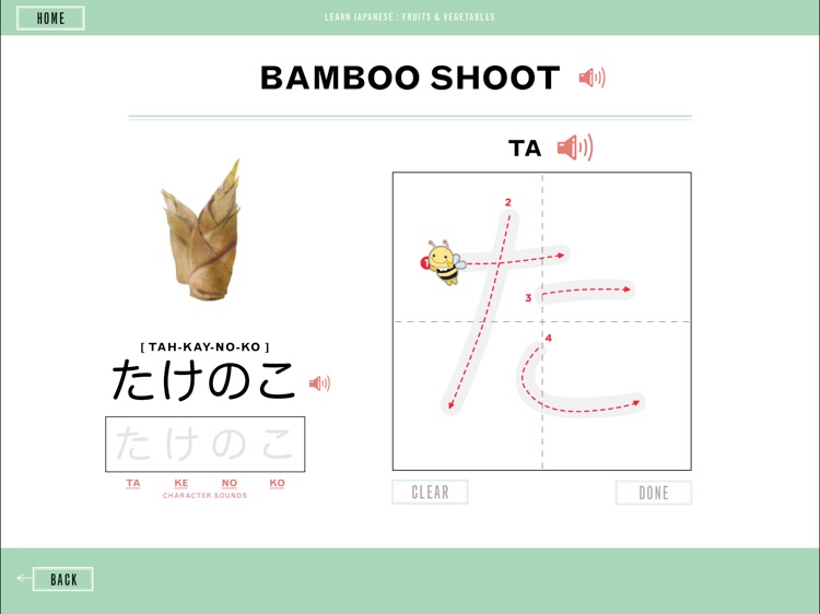 Practice Katakana: Japanese Fruits and Vegetables screenshot-4